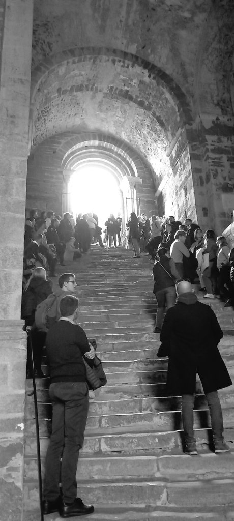 Andrea Limone tweet media