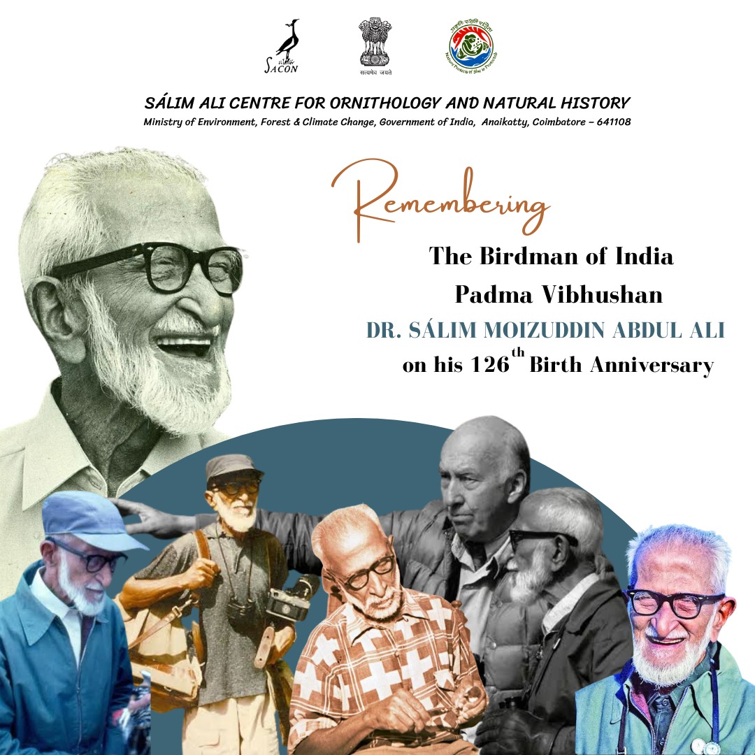 SACONCoimbatore's tweet photo. SACON remembering Dr Sálim Moizuddin Abdul Ali, on his 126th Birth anniversary.He is also known as the Birdman of India who became a legend of natural history observation and studies in independent India.He published several volumes and received several awards and accreditations. https://t.co/k6Xrse6OLW