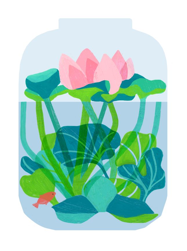 aneklife's tweet photo. Botanical explorations: tiny water garden. 
#illustration #botanical #zen #illustrationartist https://t.co/ad52iiYTEF