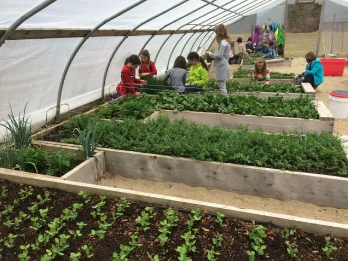 bpagricolas's tweet photo. CULTIVAR TU PROPIOS ALIMENTOS, ASIGNATURA OBLIGATORIA EN TODOS LOS COLEGIOS
 https://t.co/tEeWkeif2U https://t.co/8HqX0d1N2h