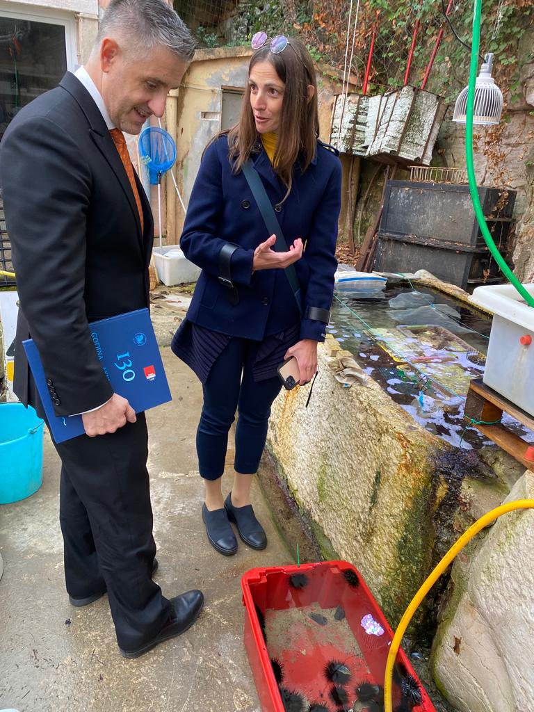 Australian Embassy, Croatia (@ausambcroatia) on Twitter photo I was also pleased to meet <a href="/CIMrovinj/">IRB Center for Marine Research_Rovinj Croatia</a> Director, Dr Martin Andreas Pfannkuchen, and Head of Laboratory, Dr Ljubljana Ivesa, to discuss further 🇦🇺 🇭🇷 cooperation in marine biology and conservation.
🙏 for your presentation on the centre’s unique capabilities & fleet. I was also pleased to meet <a href="/CIMrovinj/">IRB Center for Marine Research_Rovinj Croatia</a> Director, Dr Martin Andreas Pfannkuchen, and Head of Laboratory, Dr Ljubljana Ivesa, to discuss further 🇦🇺 🇭🇷 cooperation in marine biology and conservation.
🙏 for your presentation on the centre’s unique capabilities & fleet.