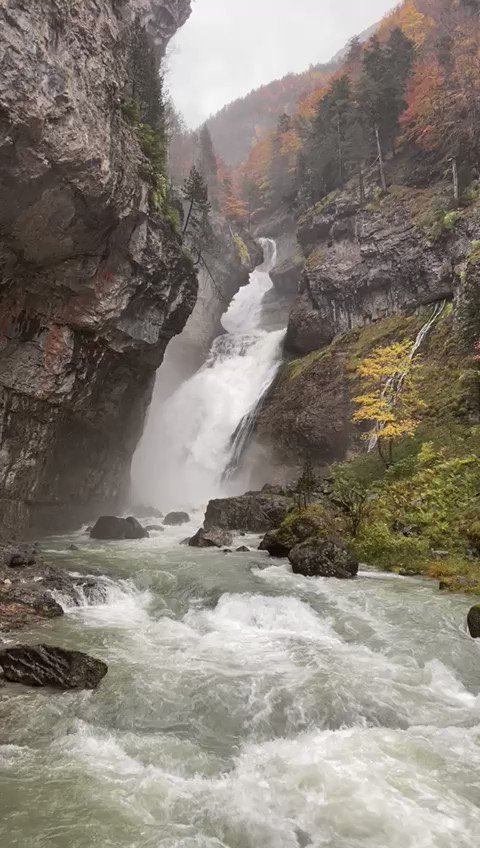 anajmvv's tweet photo. Prefiero esto. 

Poseo la llave del otoño De mi pecho nacen hojas amarillas Y un atardecer debo llorar todos los arroyos                                                     

Vicente Huidobro ( de la llave de las estaciones) https://t.co/VMWqloEdDg