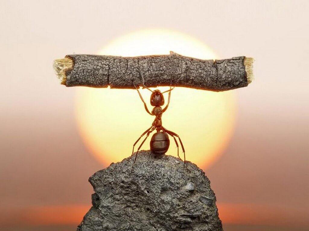 🧡 💙,🧡
Following chéo nha trả uy tín 100% 💙,🧡 💙,