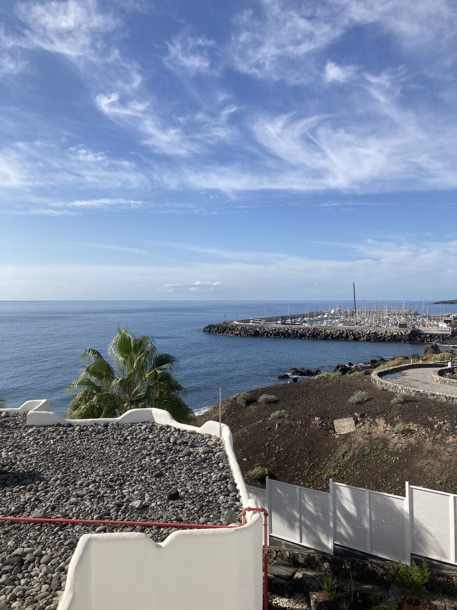 Donald Watt tweet media