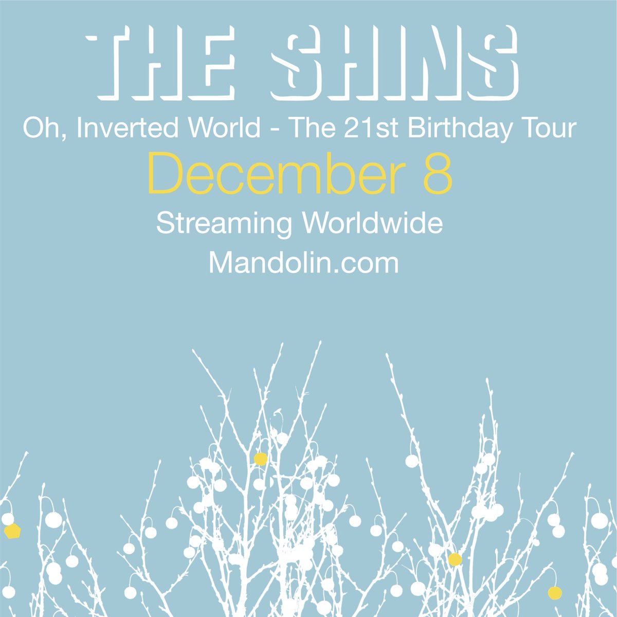 $15 early bird tickets for our streaming show on December 8th are only available until 11:59 pm ET on Sunday and all tickets include a 72 hour replay window! Full show passes that include Joseph's opening set are available too. Link below to purchase. linktr.ee/theshins