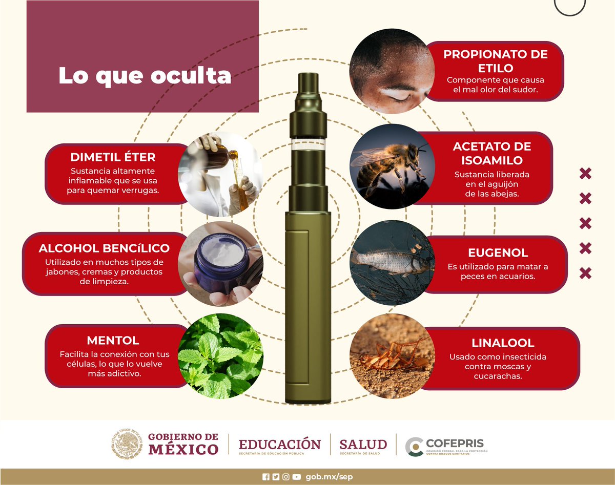 que contiene un vape Vapes Im Handgepäck Darf man Vapes mit ins Flugzeug nehmen? Der ultimative  Reise-Guide main image 0