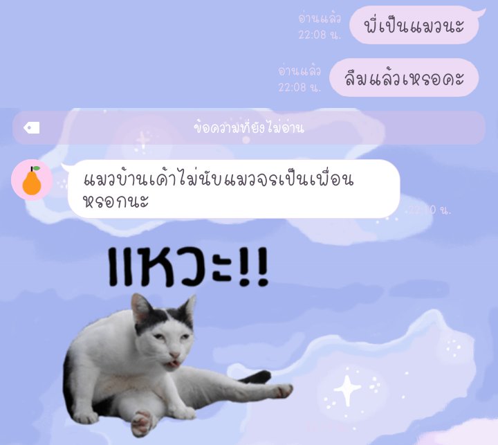 ∞ tweet media