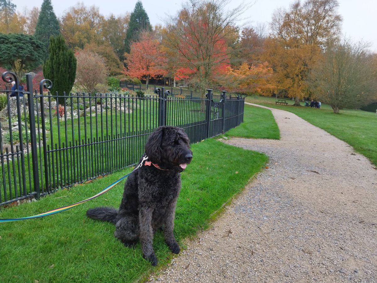 ZebedeeZebedog's tweet photo. We just had a lovely walk #Emmetts @southeastNT A bit grey but the sun is trying to come out. At least it's not raining. https://t.co/8MkFlWO7wj