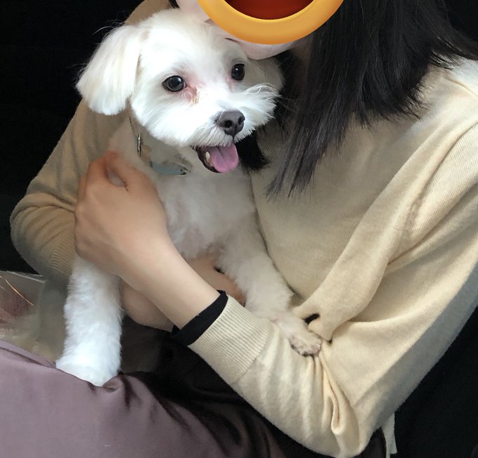 久々にラテの写真届いた!元気そう😊 