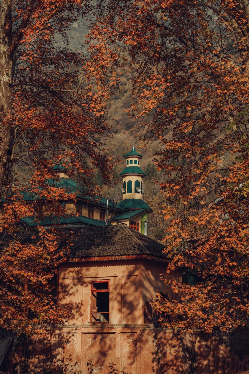 Imadclicks's tweet photo. Autumn blaze Kashmir 2022
#Kashmir #imadclicks #Autumn https://t.co/oQiSVSAPDG