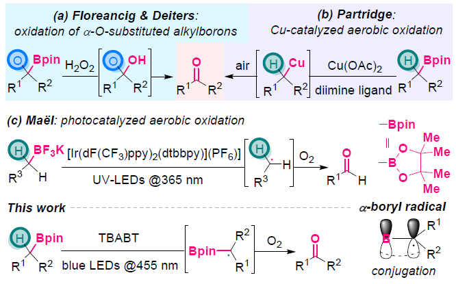 Boron-Chem-Research tweet media