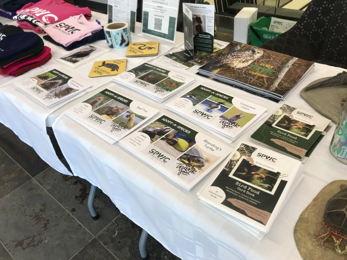 sandypines8's tweet photo. Our outreach booth will be set up at the Kingston Christmas Gift Show at St. Lawrence College today from 9 AM - 4 PM. We will have our educational materials out and will be selling the new adopt-a-species packages, our 2023 Calendars along with clothing!
#ygkevents
#SLC
#SPWC https://t.co/KmTPT6F5ae