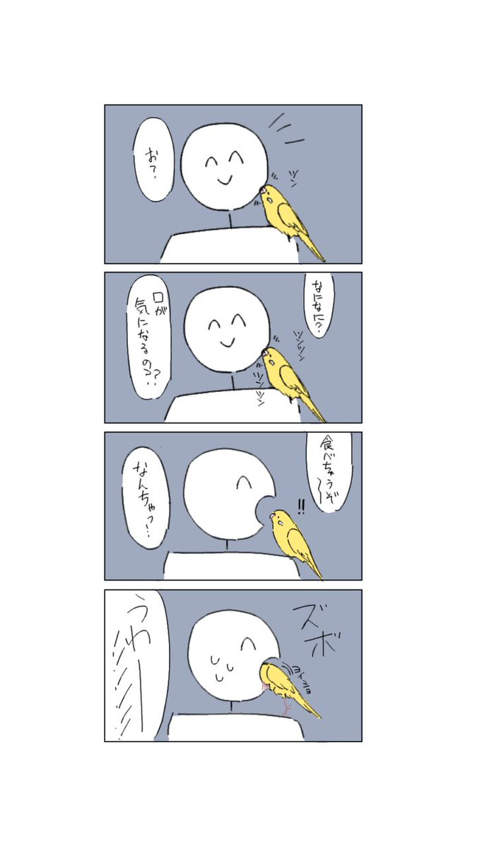 飼ってたインコとの思い出を4コマ漫画にしました
またかくかもしれない 