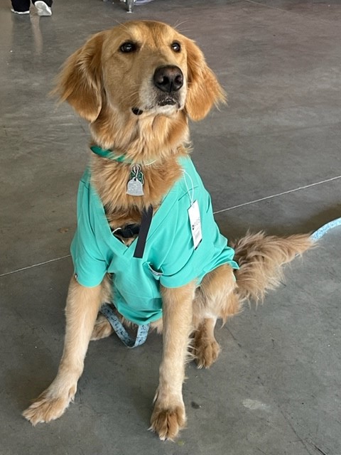 LeeHealthFdn's tweet photo. Thank you to the community's continued support of our #healthcareheroes! Our Employee Supply Site provides essential items for our teams on the frontlines at @Lee_Health including scrubs, toiletries, and more as they recover while caring for our community. #SWFLStrongerTogether https://t.co/pDUcxgJ0Um
