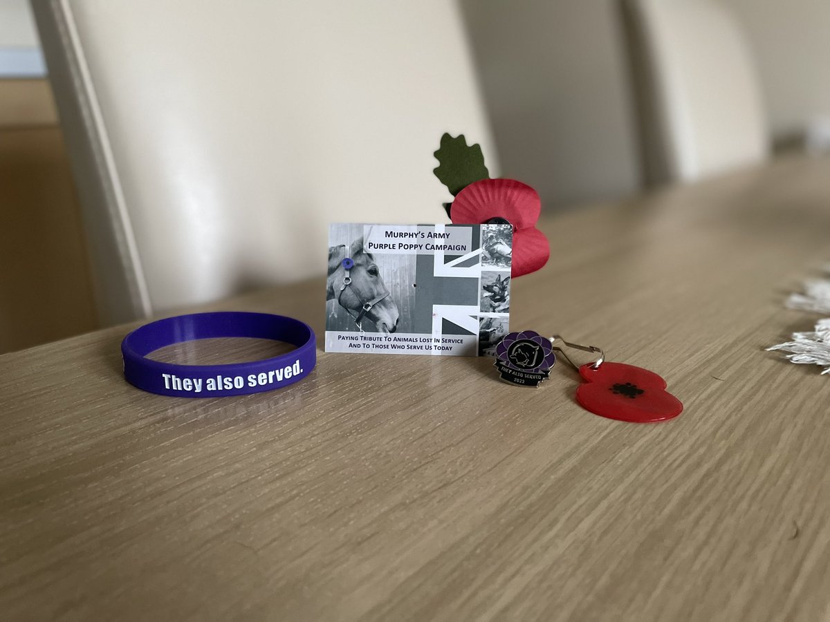 AmyJankiewicz's tweet photo. As a #veteran and former employee of @FactoryPoppy I always take time during this weekend to remember those that paid the ultimate sacrifice whilst serving or afterwards. This year I’m sharing the messages of the animals too and supporting @MA_PurplePoppy and @TheBrooke https://t.co/GI2QAifQ8s