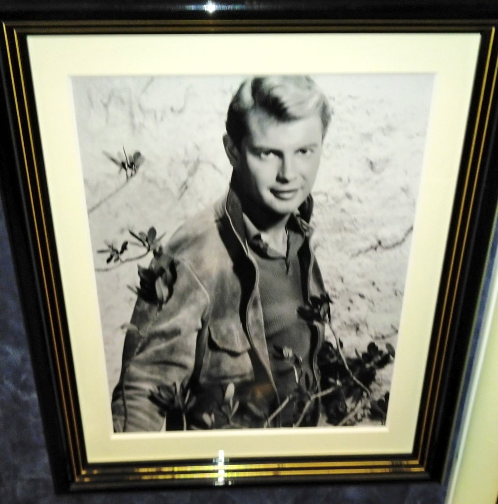 トロイ ドナヒュー Twitter Search Twitter