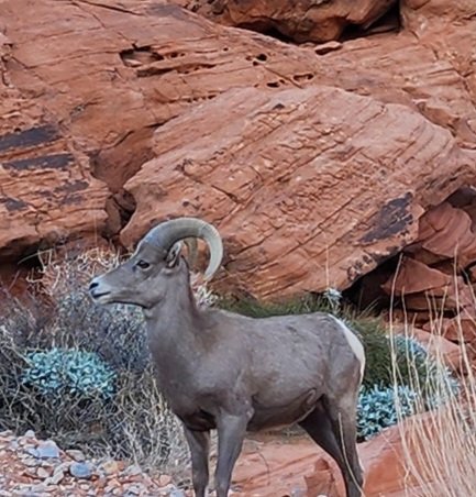 bertadee812's tweet image. Exciting to see these guys up close!