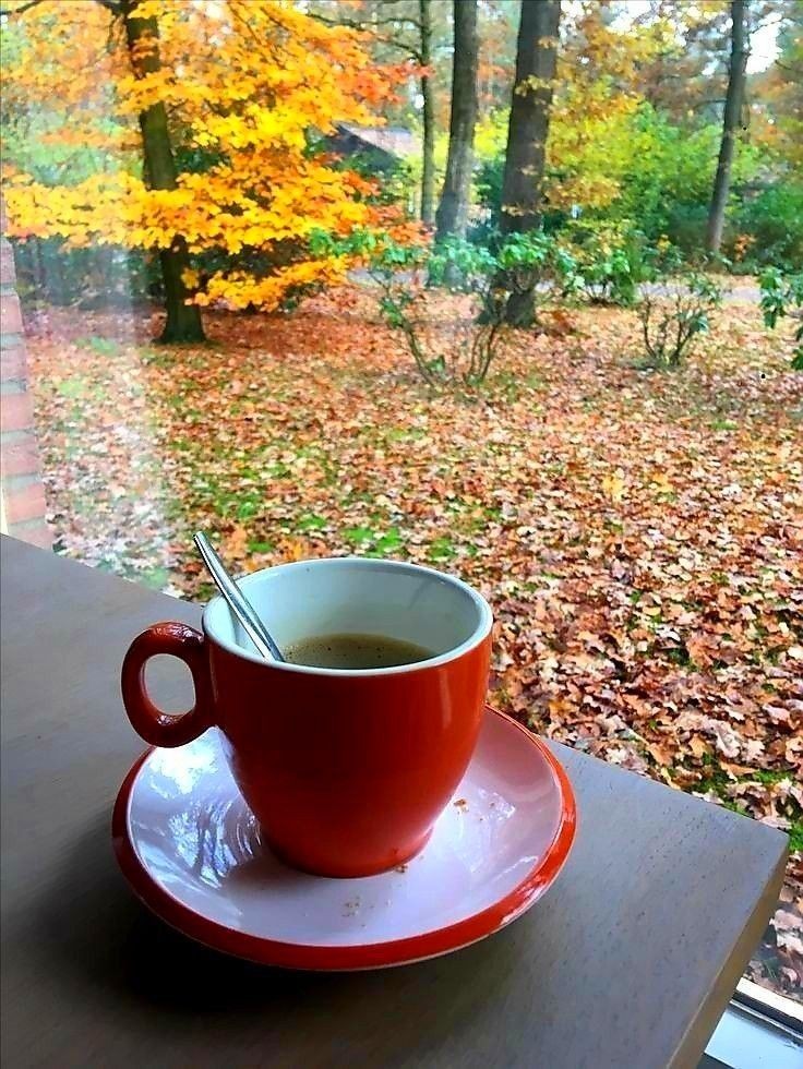 Ci insegnano a contare i secondi, i minuti, le ore, i giorni, gli anni. 
Ma nessuno ci spiega il valore di un attimo 🤗Ciao a tutti ❤️ 🤗 ❤️ 😚 😚