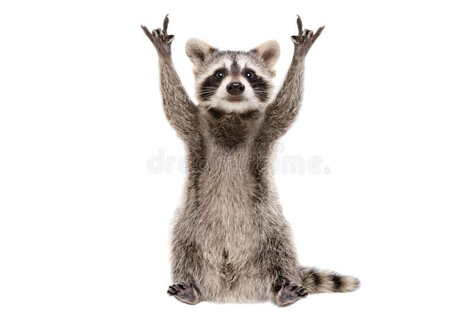 FhX7WdFXkAAbFqp?format=png&name=small