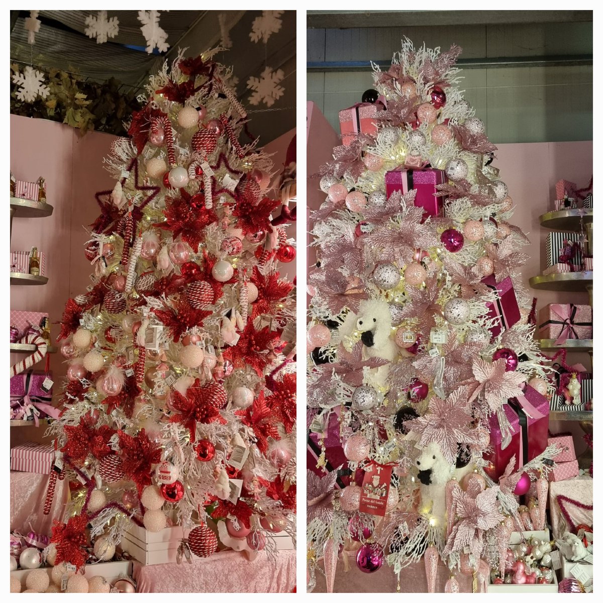 Monica 🍀⚘️🌍📚🐞🎧 tweet media