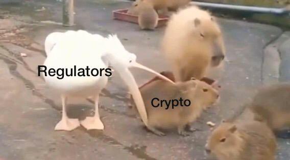 Anne Uity tweet media