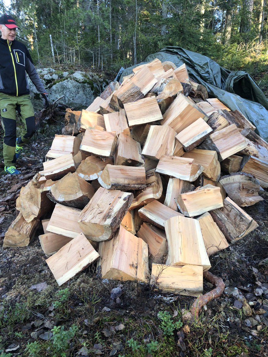 TuijaVirtanen's tweet photo. PuutCamp Särkijärvellä. 
Ystäville polttopuita. 🪵🪓
#mökillä #ihanpihalla #särkijärvi #mustiala #bootcamp247 https://t.co/EEcgmJAAkB
