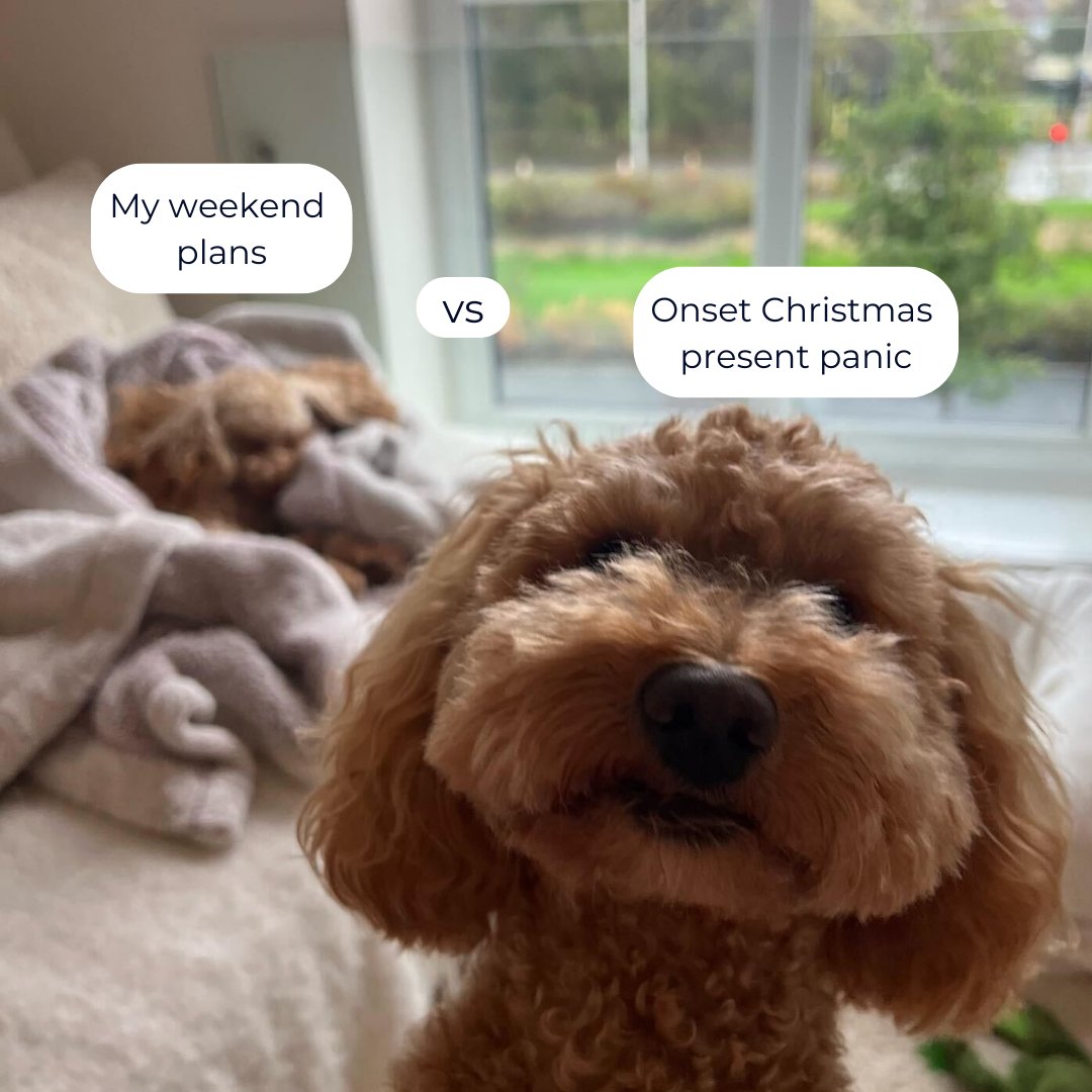tailsdogfood's tweet photo. It's creeping in... #Christmas https://t.co/82fbxFf551