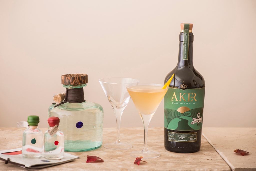 Make the ultimate martini with Procera’s outstanding Kenyan gin, AKER’s English vermouth and glasses worthy of Dukes Bar – all in a beautifully presented box. It’s time to tick someone off your gift list:  

frw.co.uk/wine/procera-m…
