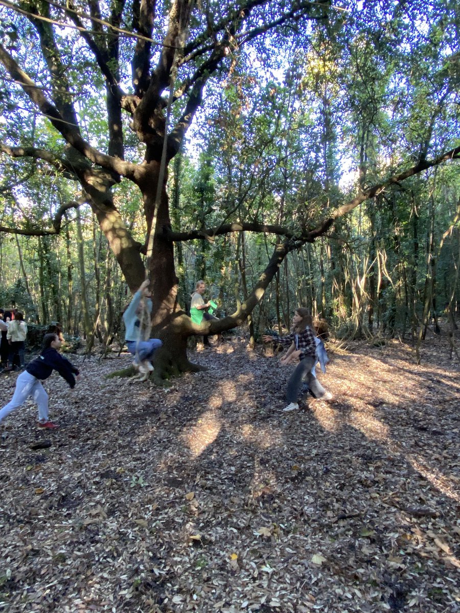 If you go into the woods today…