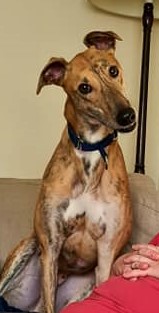 Kevin Brennan tweet media