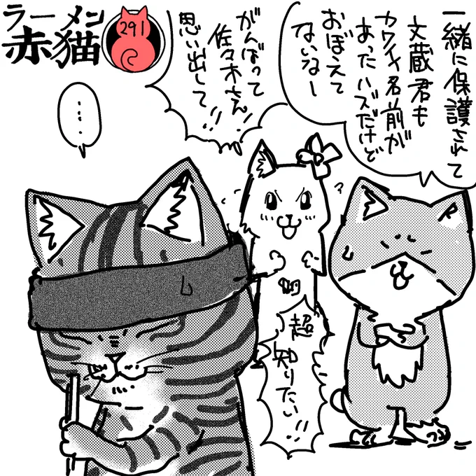 文蔵くん記憶力いいから覚えてると思うけどなー
#ラーメン赤猫 #ジャンププラス
34話 https://t.co/VkT8wnZ7YZ 