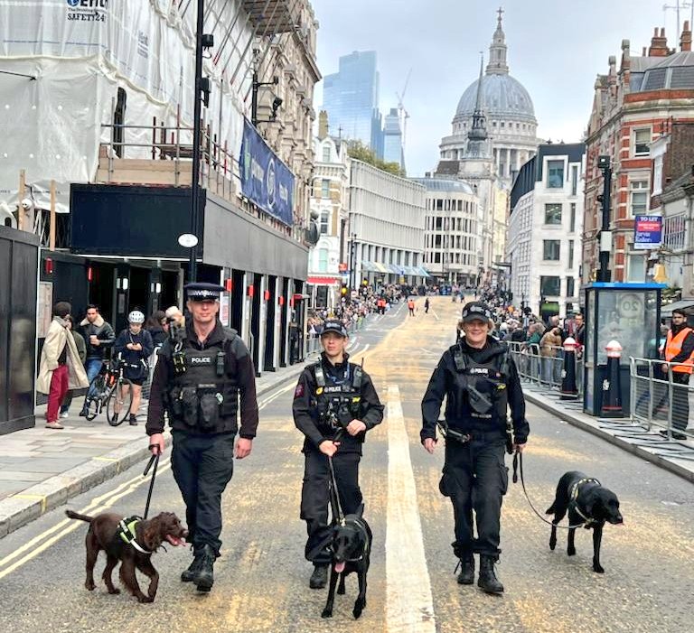 PD Deano, Oscar & Ella took part in a joint working operation this morning. They worked alongside Kent & City police search dogs for the #LordMayorsShow 🐶🐾🐾