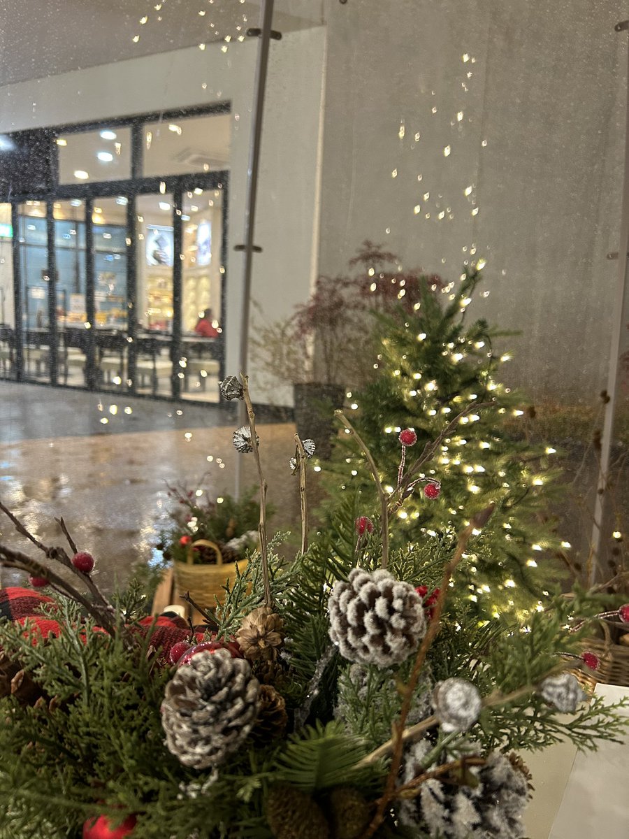 벌써 크리스마스 시즌인가봐 온통 트리야