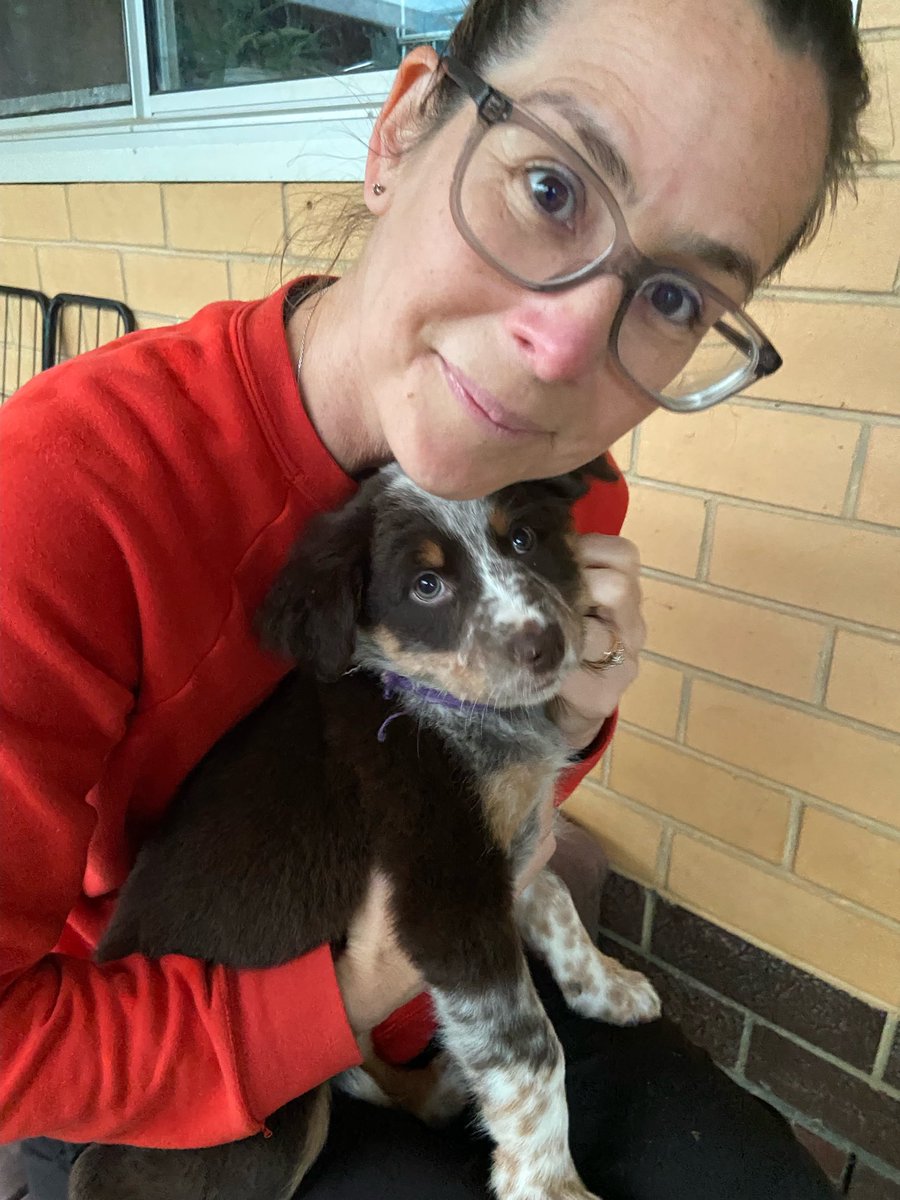 Dan Popping tweet media