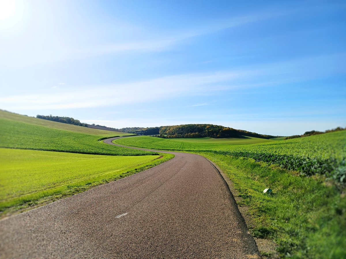 Emmanuelle Ducros tweet media