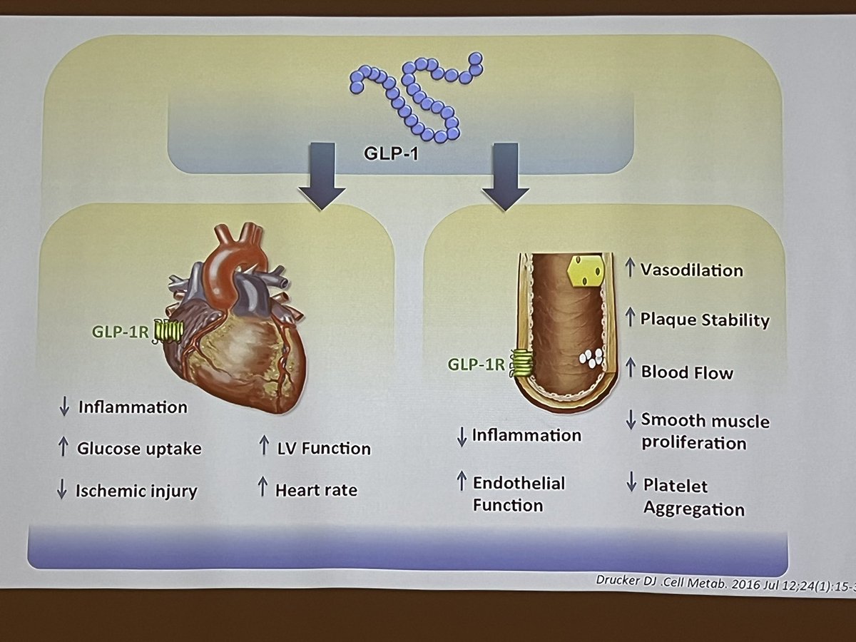 Javier Valcuende, MIR2❤️, H.U. Clinico Zaragoza y <a href="/mcalbarranm/">Carmen Albarrán Martín</a> , presentan:

DM2 y enfermedad vascular 
💥efectos antiateroscleróticos de los ar-GLP1
💥riesgo residual más allá de la DM2 y el LDL
💥se ha estudiado el efecto la asociación de ar-GLP1 e iSGLT2 en ⬇️ MACEs
