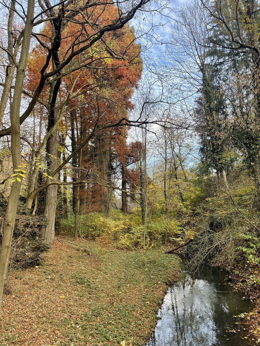 PapZsoltIstvn1's tweet photo. #Simeria #Piski #dendrologicalPark
#Transylvania https://t.co/OFiha2t3yA