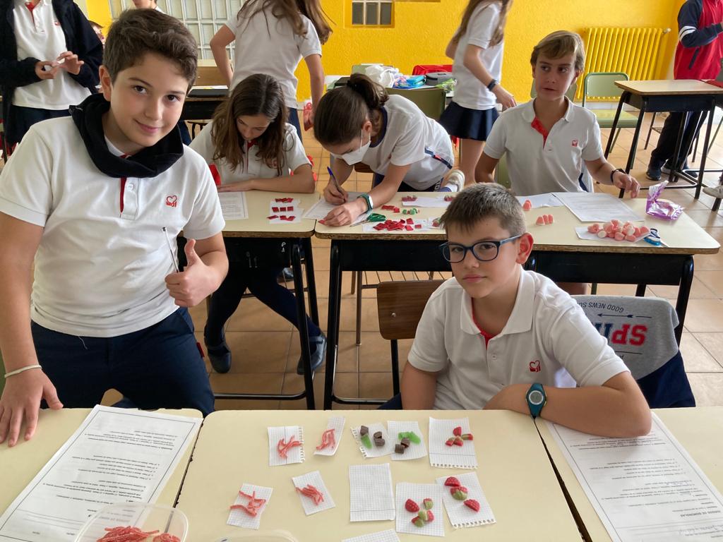 colegiospinolam's tweet photo. En 1ºESO,trabajamos matemáticas con gominolas. Seguimos practicando y conociendo cómo hallar el máximo común divisor.
#matemáticasmanipulativas #SalirASerHogar https://t.co/m46fJCJ0x3