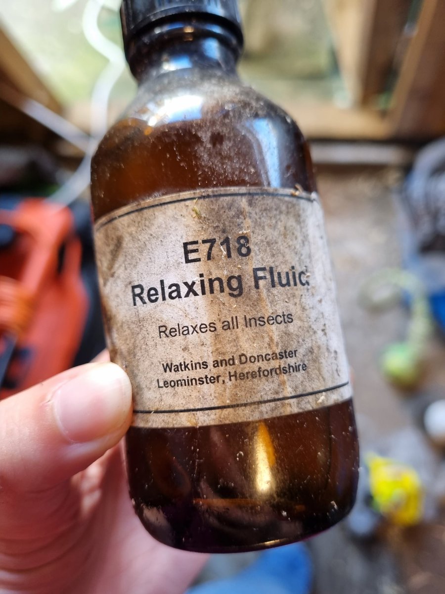 Amy W Schwartz is in 🇯🇵 tweet media