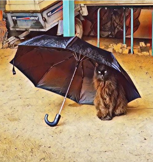 ArrietansonNFT tweet media