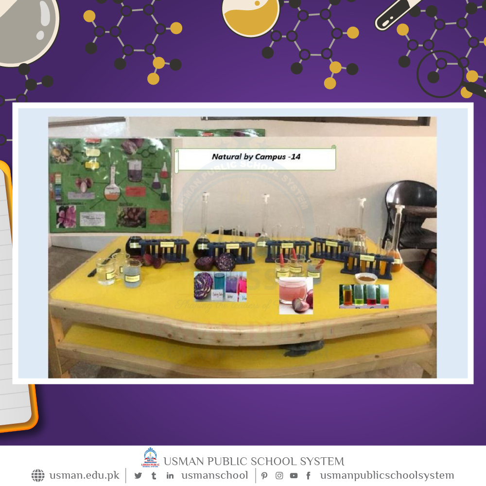 UsmanSchool's tweet image. Photo highlights of chemistry expo 2022 #Solid_Waste_Management #reduce #Reuse #Recycle #RandomClick #Usmanians #November2022 #Updates