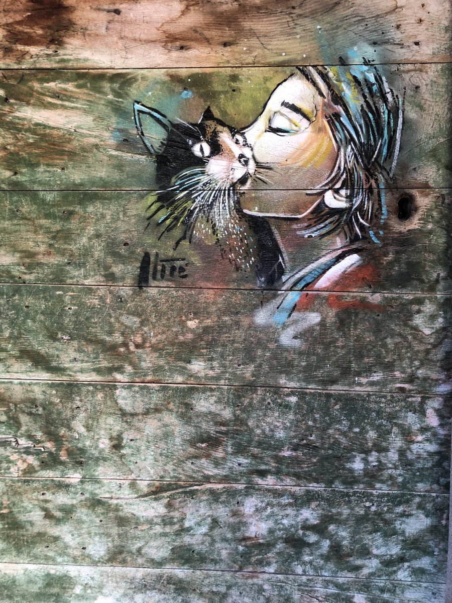 #StreetArt by Alice Pasquini in Civitacampomarano, Italy 🇮🇹 

#Caturdayrelax  🐾🐱🐾