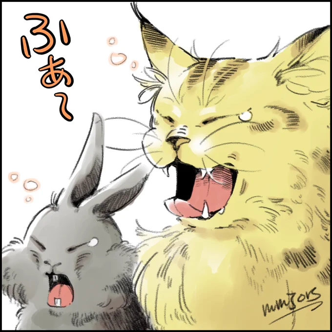 ふぁ〜🫧 