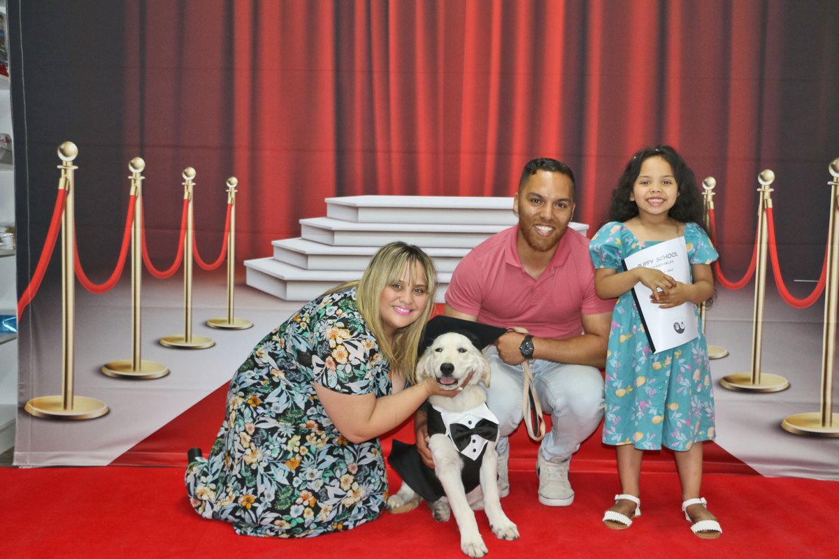 CandiceGrain's tweet image. Had a ball at the Puppy School Graduation! 🎓🐾🐕🦮You can teach an old dog new tricks😉
For Bannerwalls 👉 Cape Winelands Bannerwalls and for some modeling tips 👉 AR.Modelschool#ingrained #candicegrainphotography #puppyschoolgraduation #armodels #CWBW #paarlveterinaryhospital