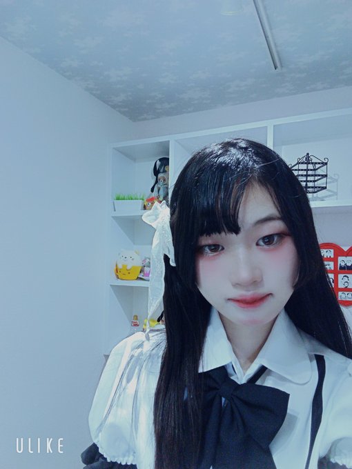 Twitterで画像を見る