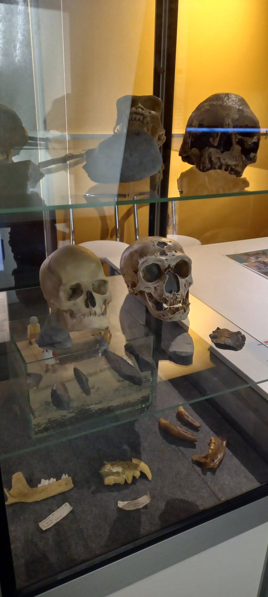 josuaran's tweet photo. Ba al dago larunbat goiz baterako plan hobeagorik? Etor zaitez Grupo Investigación #Prehistoria/ #Historiaurrea EHUko Taldeak antolatu duen stad-a ikustera Gasteizko Bibat Museoan #Zientzia #Astea @Letrak_EHU https://t.co/mmGn77qAJZ