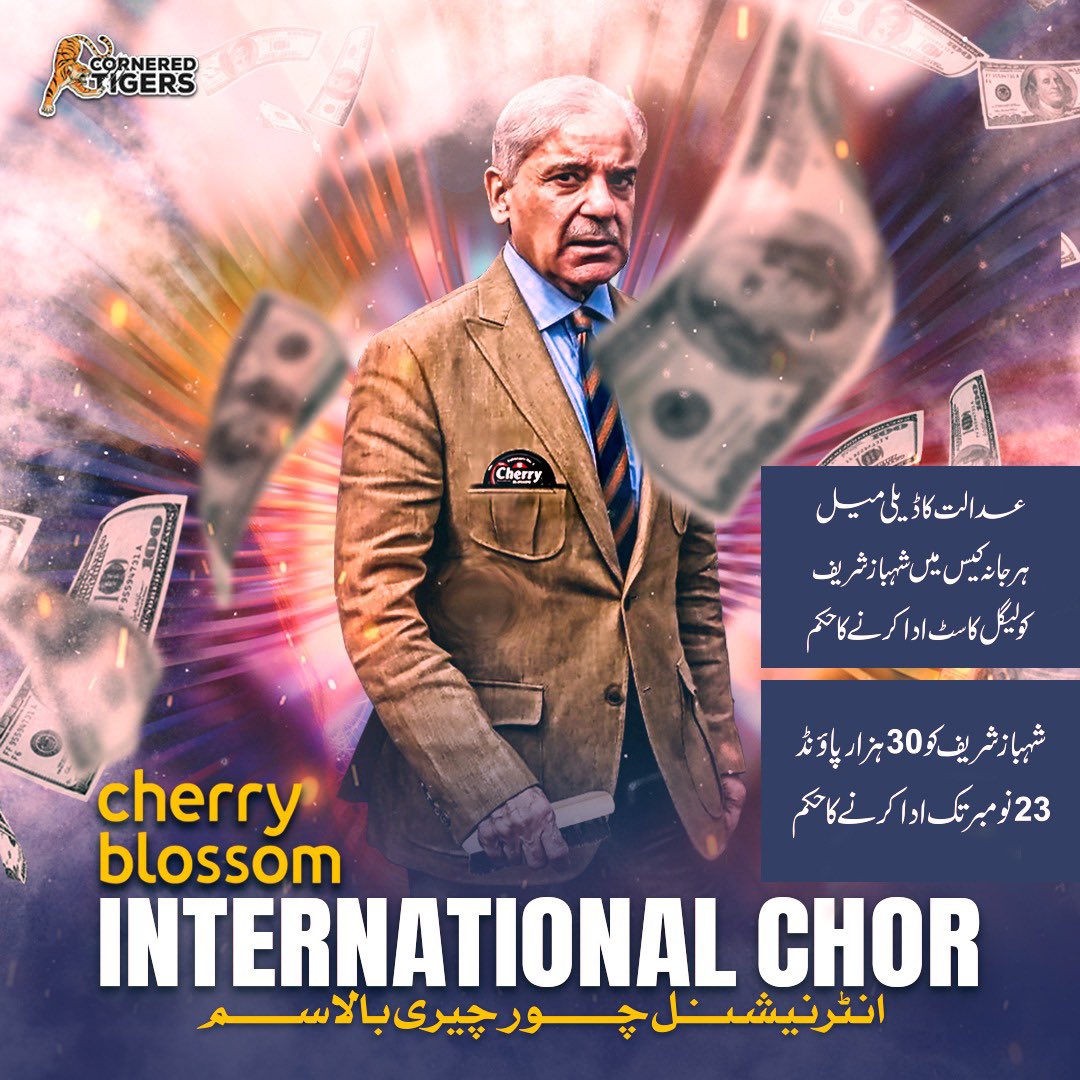 ڈیلی میل نے اپنے آرٹیکل میں یہ لکھا تھا کہ شریف خاندان نے سیلاب زدگان کو دیے گئے عطیات میں کرپشن کی اور پیسہ منی لانڈرنگ کے ذریعے اپنے بیرونی اکاؤنٹ میں ٹرانسفر کیا۔

اب عدالت نے شہباز شریف کا عدالتی جواب ناقابل قبول کرار دیا اور شہباز شریف کو لیگل کاسٹ ادا کرنے کا حکم دیا گیا۔