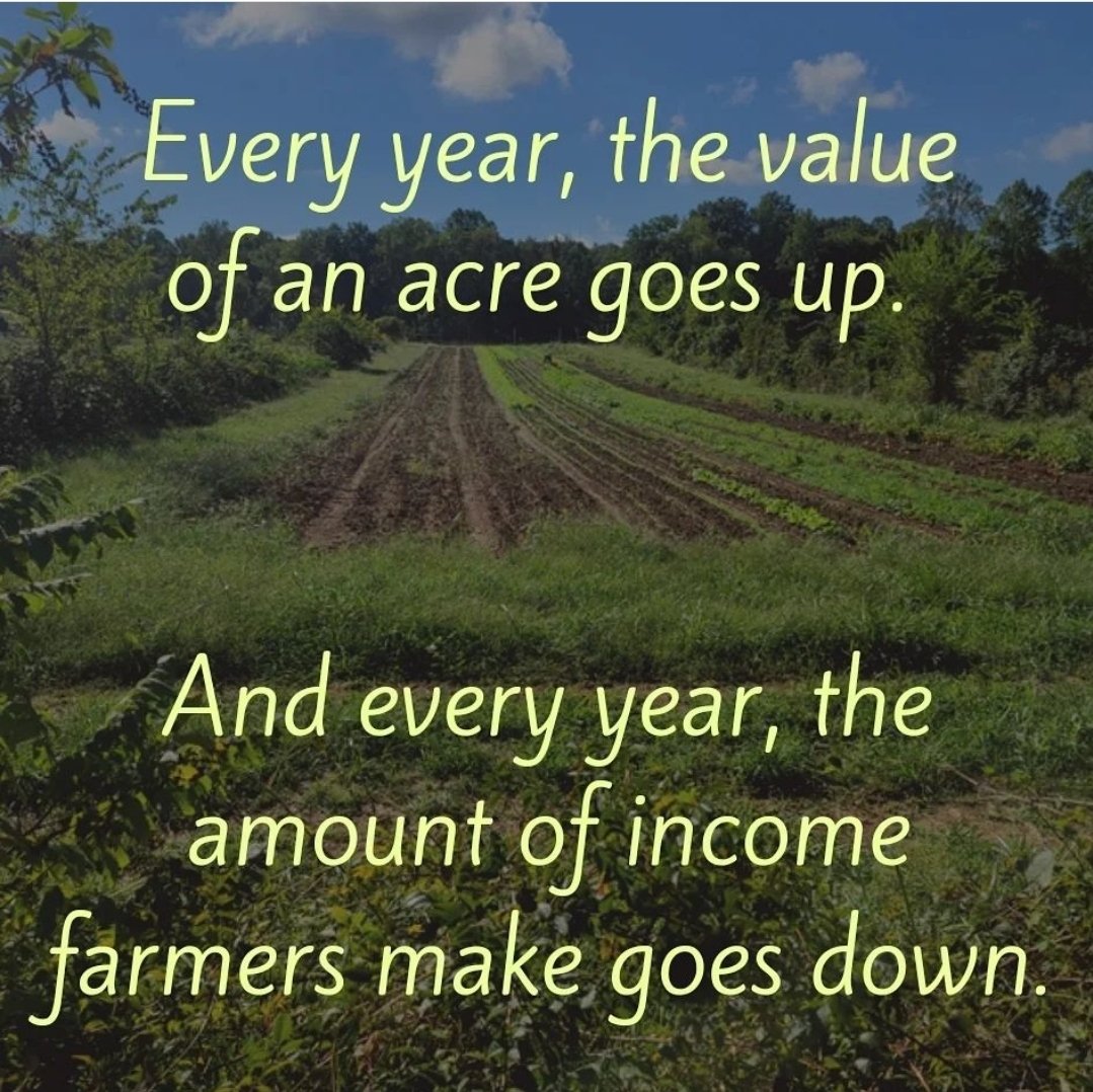 AgrarianTrust's tweet photo. We need to create a structural change to address this financial disparities that exist.
Land access is not just difficult, it's unjust, making it very hard for people to grow nutritious food for their communities.
#AgrarianCommons #landcommons #Commons #landaccess #farmland https://t.co/Xo9YIwmdQx