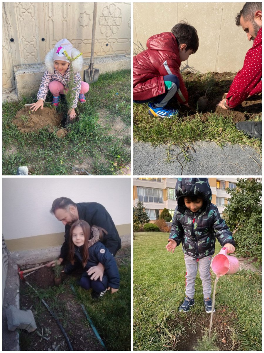 Bahçeşehir Koleji olarak "Sürdürülebilirlik" eğitimimiz kapsamda göndermiş olduğumuz "çam fidanları' nı çocuklarımız ebeveynleri ile birlikte diledikleri yerlere diktiler. Bilinçli bir gelecek için biz BAHÇEŞEHİR KOLEJİ olarak hazırız...