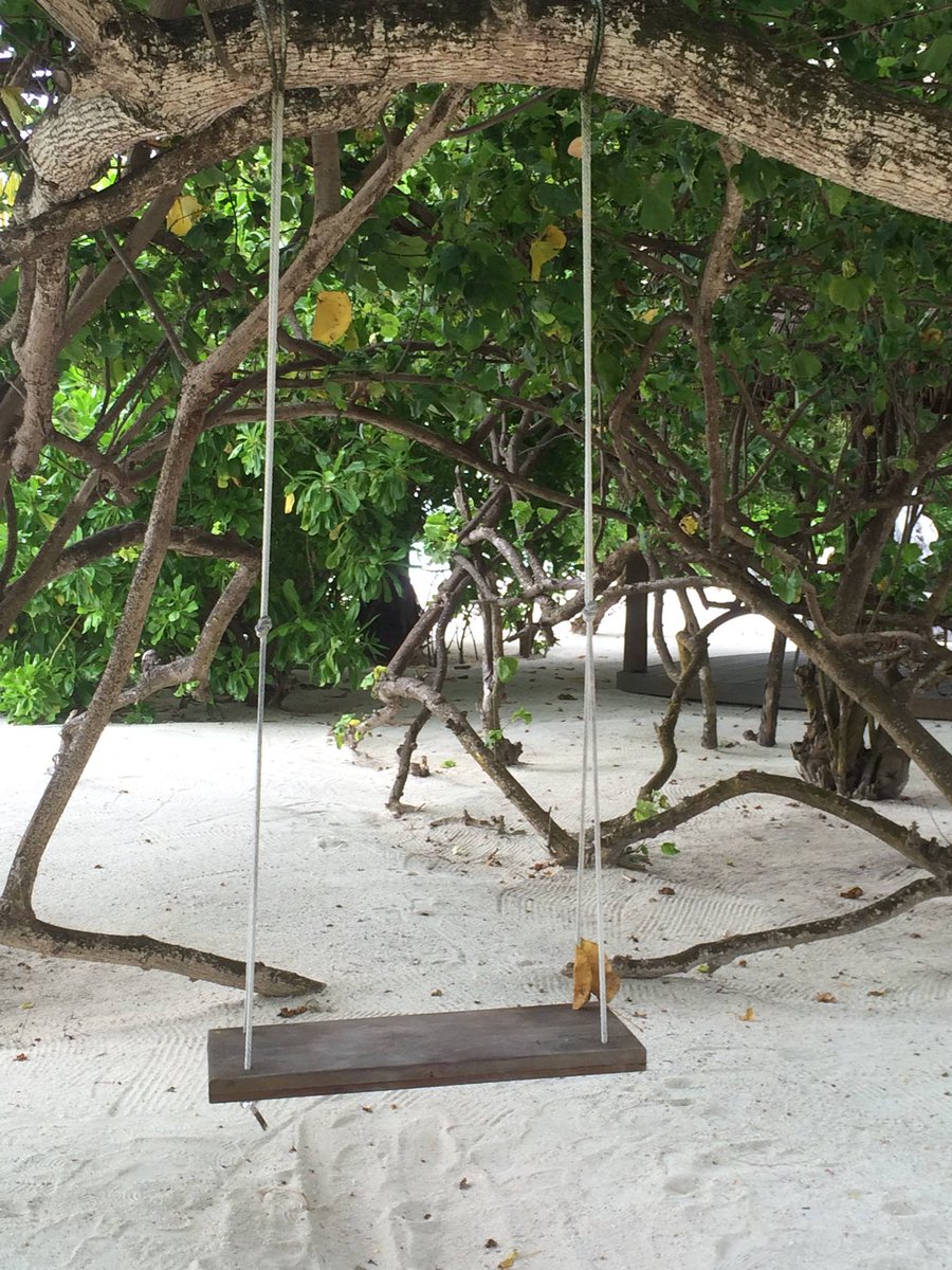 malamathi_mv's tweet photo. Wanna swing... #maldives #travel #nature #travelphotography #photography 
#photooftheday #travelgram #Maldives #Islands #Atolls  #explore #trip #vacation #follow #traveling #beautiful  #swinging #MalamathiMaldives #malamathi #singsweet https://t.co/Wcj6mLDQ7C